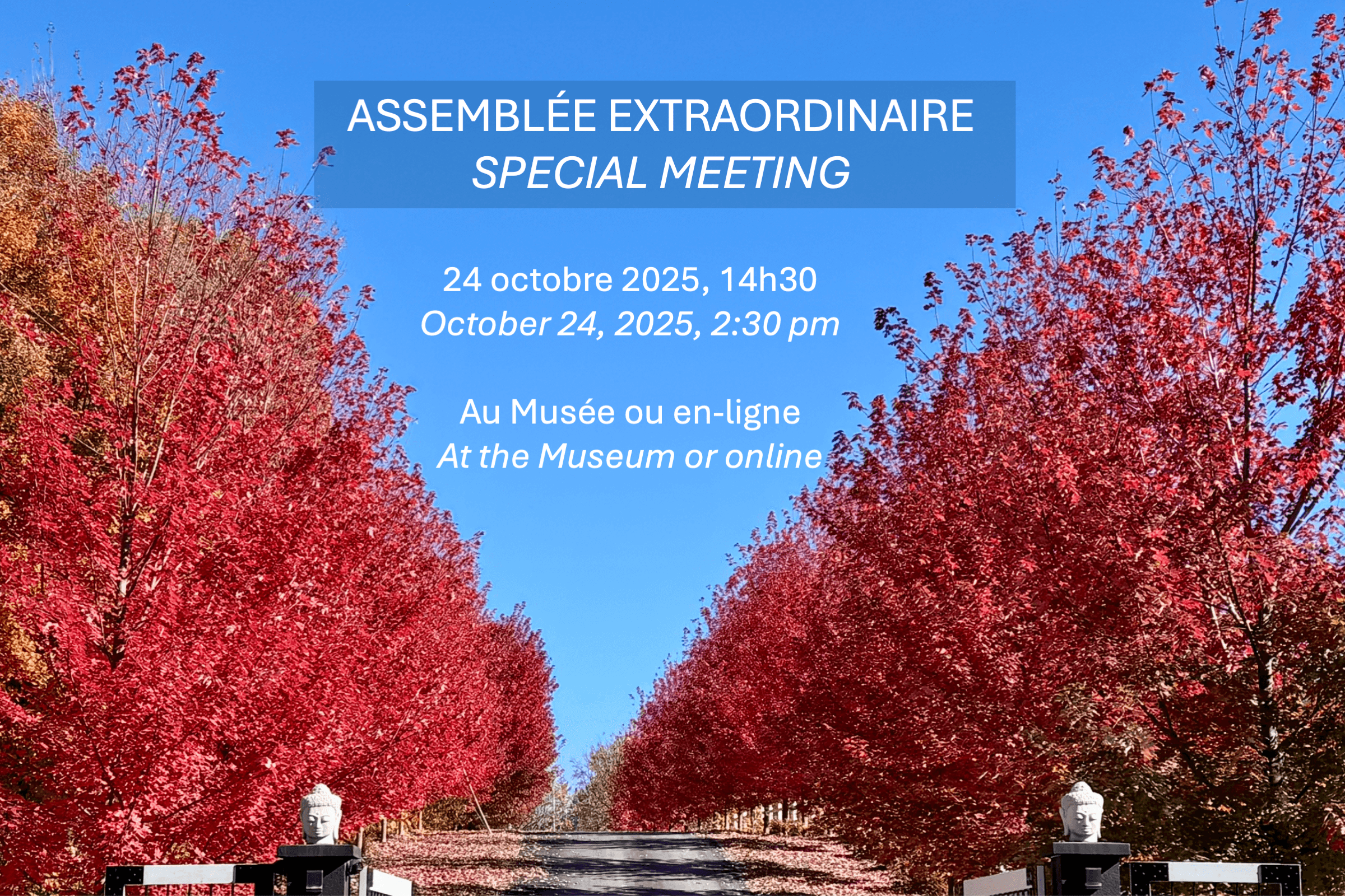 Special meeting : Amendments to the Letters Patent