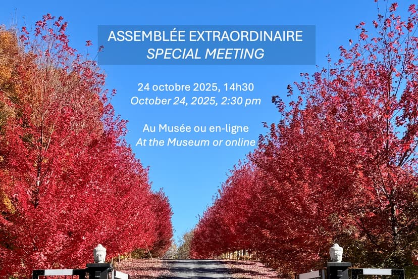 Assemblée extraordinaire : Amendements aux lettres patentes